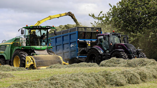 DONKEYCAM - What's been happening at GRASSMEN?