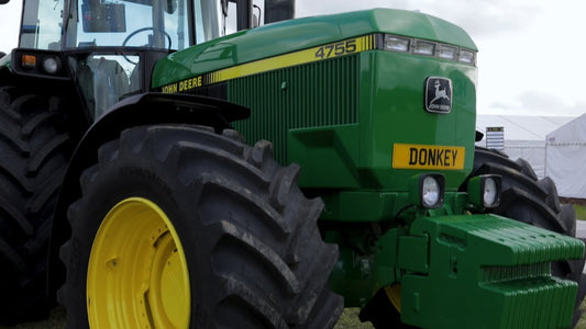 Donkey at The National Ploughing Championships 2019