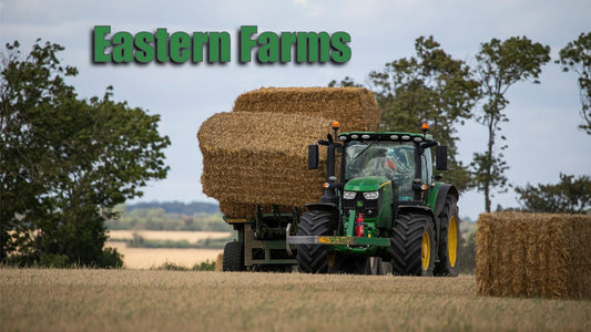 A look at Eastern Farms