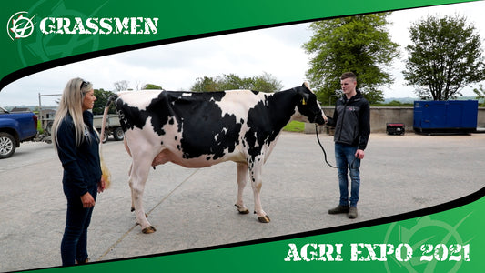 DAMM HOLSTEINS - GRASSMEN AGRI EXPO DAY 4