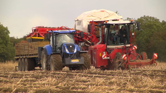 Country Crest Potato Harvest 2016