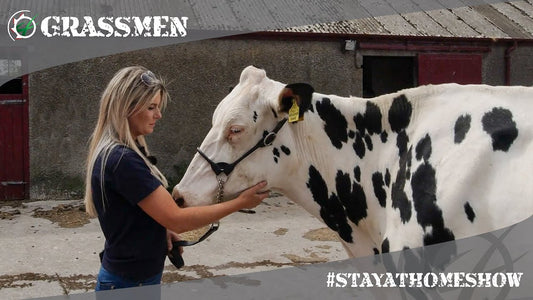 #StayAtHomeShow - Livestock with Kirstie - Ards Holsteins