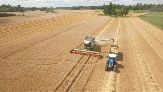 GRASSMEN TV - Thoughts on the TW-35 and TW-230 at A.L. Wilkinson Farming