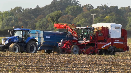 GRASSMEN VLOG - Country Crest Onion Harvesting