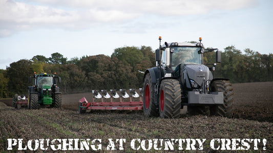 Ploughing at Country Crest!