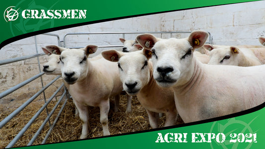 TAMNAMONEY TEXELS - GRASSMEN AGRI EXPO DAY 2