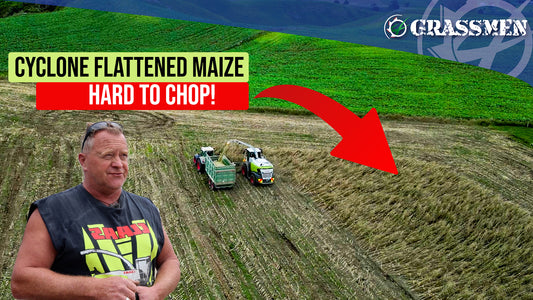 Tony Ireland Contracting Maize in NZ!