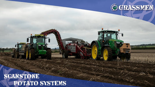 ScanStone Potato Systems