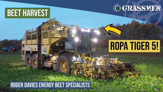 LET THE TIGER ROAR IN YOUR FIELD! ~ Roger Davies Energy Beet Specialists