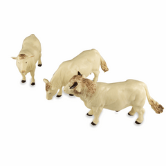 Britain's Charolais Cows