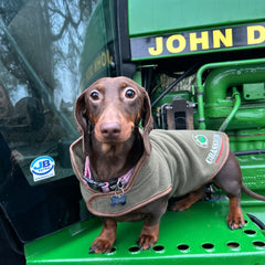 "GRASSMEN" X Jack Pyke Trimmed Dog Jacket Olive Green