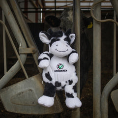 "GRASSMEN" Fiona The Friesian Cow Plush Teddy